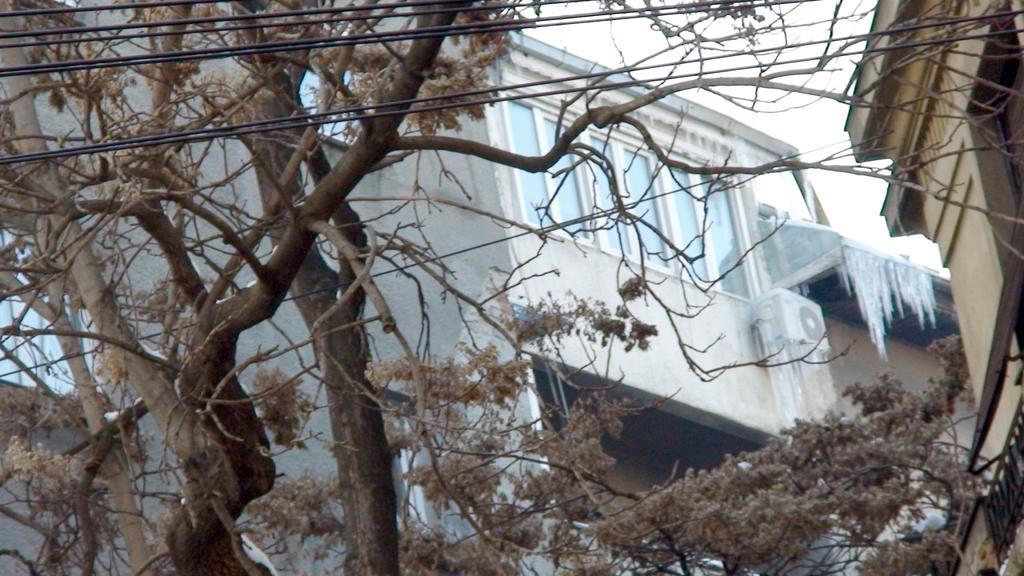 One Bedroom Apartment French Embassy 布加勒斯特 外观 照片